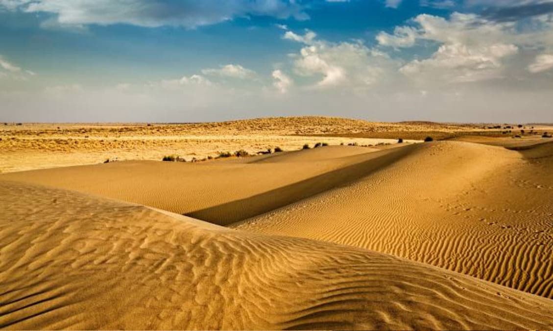 Desert View